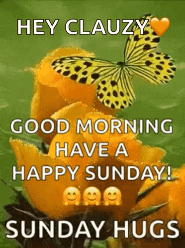 Butterfly Sitting on Flower Good Morning