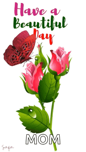 Butterfly Sitting on Flower Have a Beautiful Day Mom