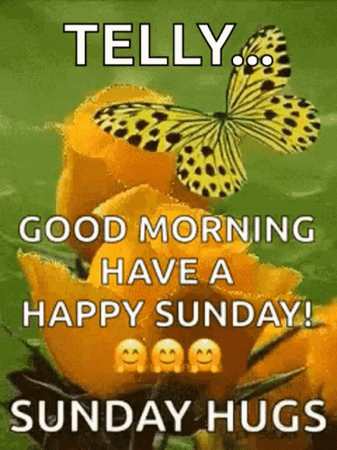 Butterfly Sitting on Yellow Flower