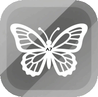 Butterfly Sticker White Butterfly Sticker GIF