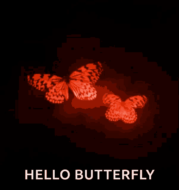 Butterfly Wings Flapping Gif GIF
