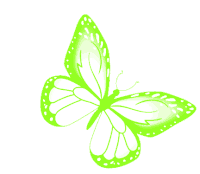 Butterfly Yellow Green Butterfly Sticker GIF
