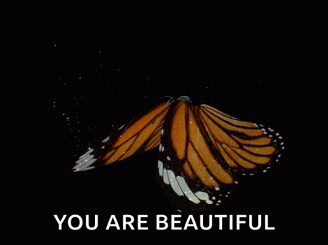 Butterfly You Are Beautiful GIF