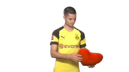Bvb Dortmund Sticker