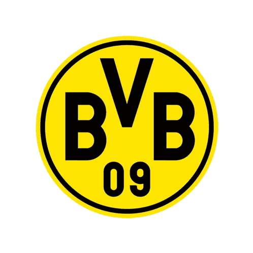 BVB Yellow and Black Circle Logo