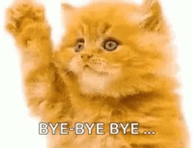 Bye Bye Bye Ginger Kitty Waving GIF
