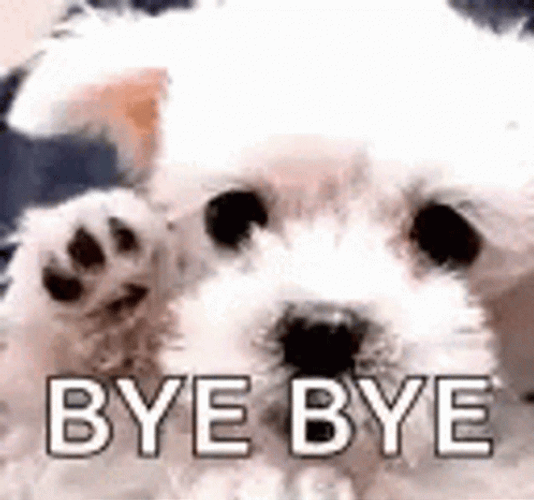 Bye Bye Bye Puppy Sad Eyes GIF