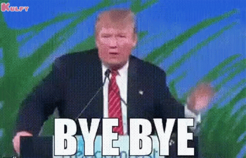 Bye Bye Donald Trump Meme GIF