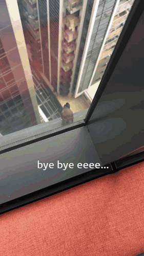 Bye Bye Eeee Is Written On The Bottom Of A Picture GIF