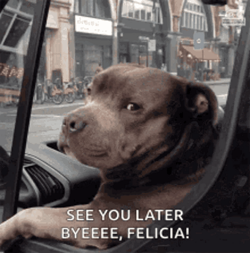 Bye Felicia Dog GIF