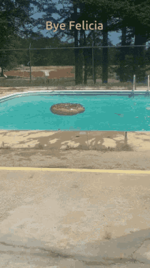 Bye Felicia Reverse Dive GIF