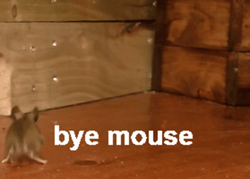 Bye Poor Mouse GIF
