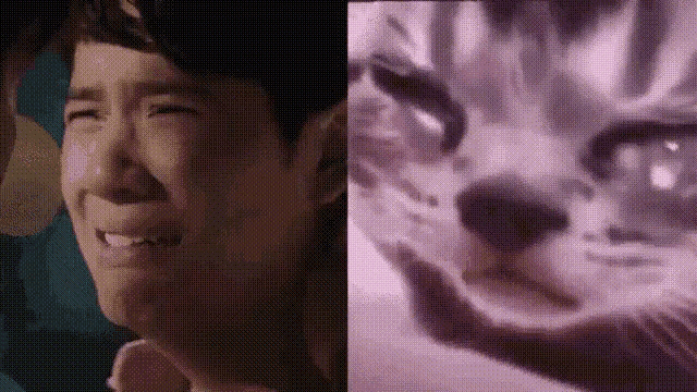 Byuntear Nanon Gif GIF