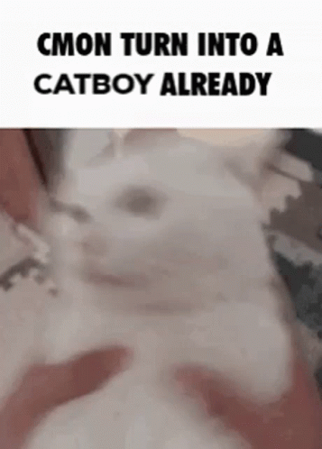 C'mon Do Something Turn Into Catboy GIF