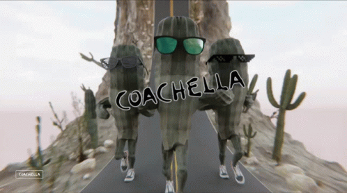 Cacti Wearing Sunglasses With Coachella GIF