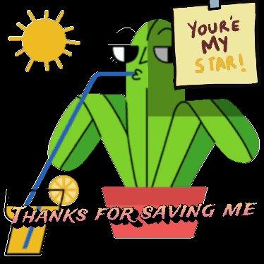 Cactus Drinking Through Straw With Sign You're My Star GIF