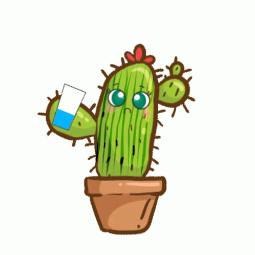 Cactus Drinking Water Get Fat GIF