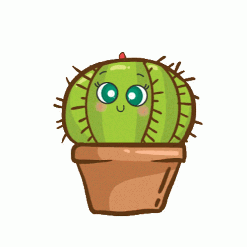 Cactus Eyes Bright Flower Bloom GIF