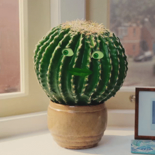 Cactus Human Eyes Mouth Shaking Head GIF
