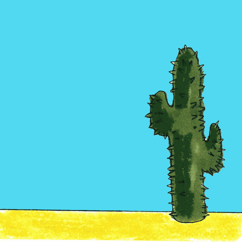 Cactus Popped By Balloon GIF