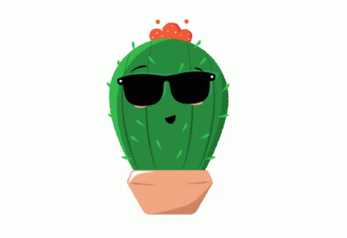 Cactus Sunglasses Down Eyes Shown GIF