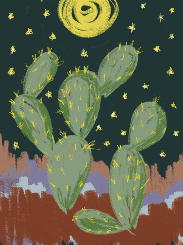 Cactus Under Starry Night Sky GIF