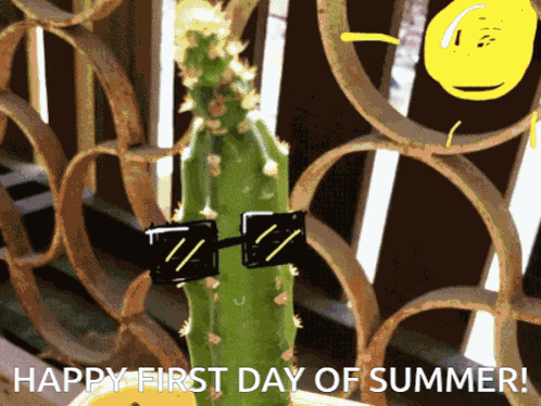 Cactus Wearing Sunglasses Happy First Day of Summer