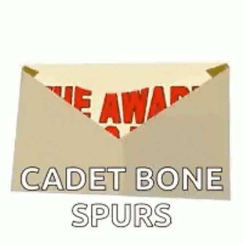 Cadet Receives Award GIF