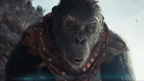 Caesar Angry King Of Apes GIF