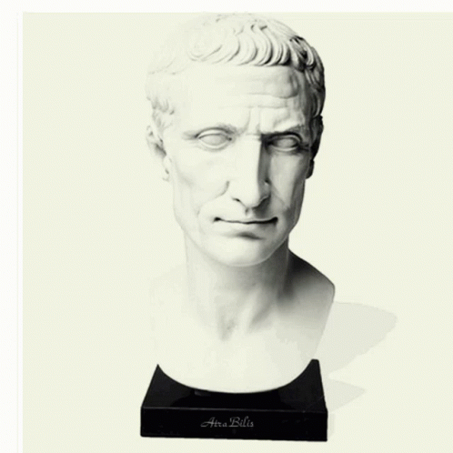 Caesar Portrait Changed To Mr. Bean GIF