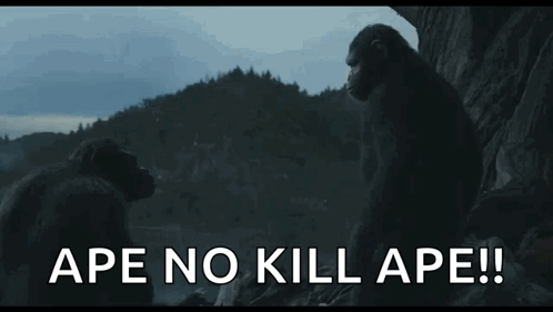 Caesar Says Ape No Kill Ape GIF