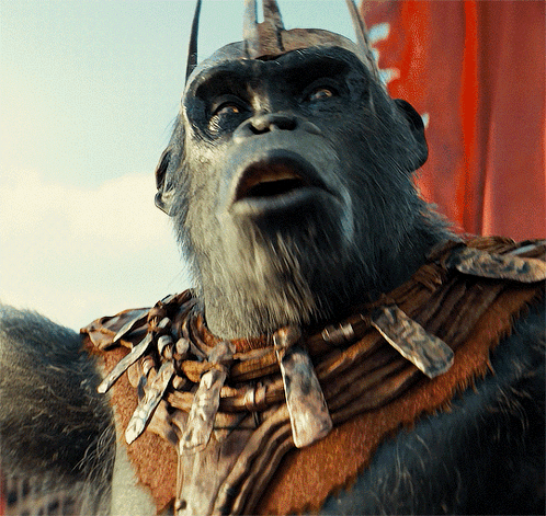 Caesar The Real King Of Apes GIF