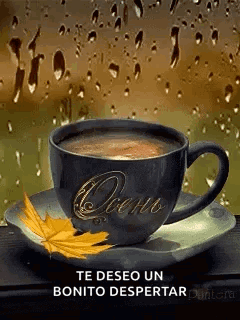 Cafe Buenos Dias 240 X 320 Gif GIF