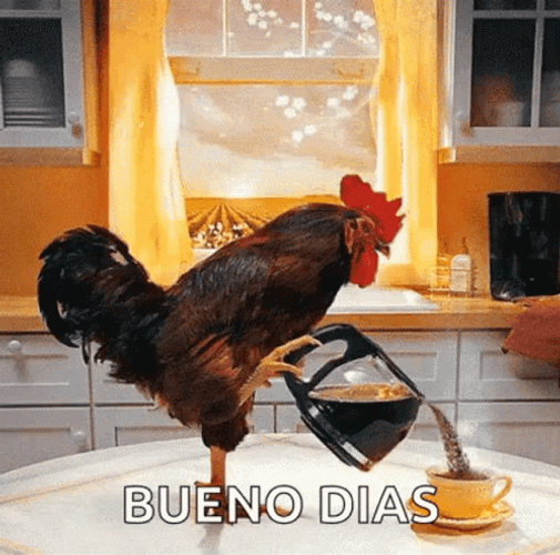 Cafe Buenos Dias GIF