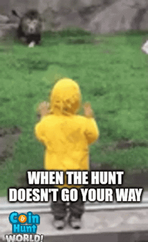 Caged Lion Hunting Kid In Zoo GIF