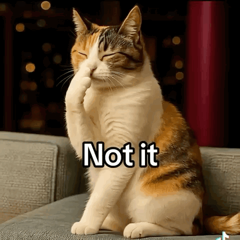 Calico Cat Covering Face with Paw