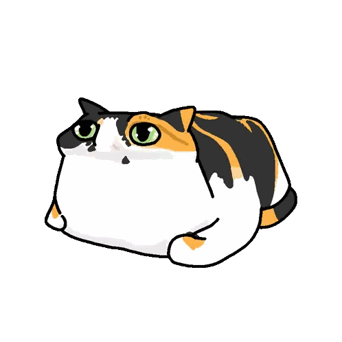 Calico Cat Laying And Looking Up