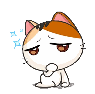 Calico Cat With Serious Look
