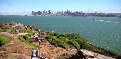 California Alcatraz Island GIF