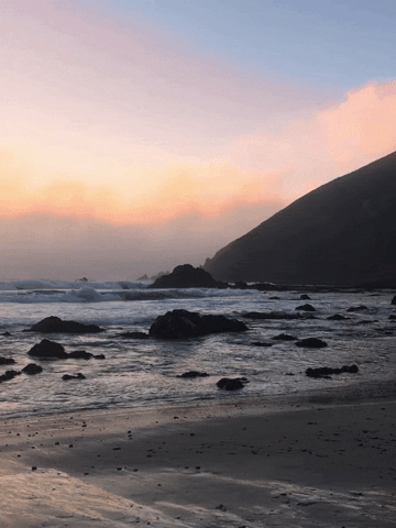 California Bay Area GIF