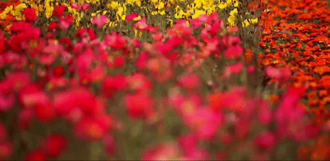 California Botanical Garden GIF