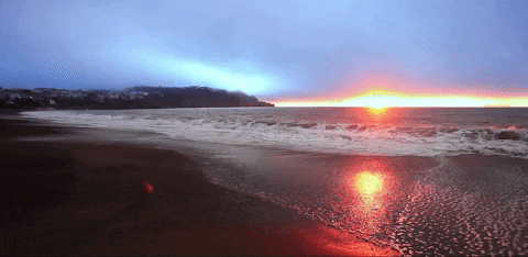 California Dazzling Sunset GIF