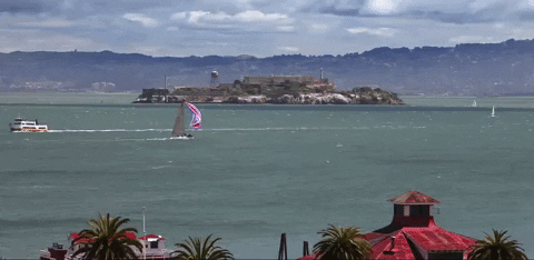 California Fisherman's Wharf GIF