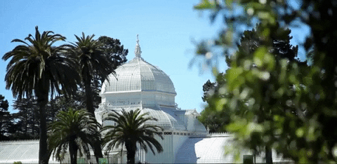 California Golden Gate Park GIF