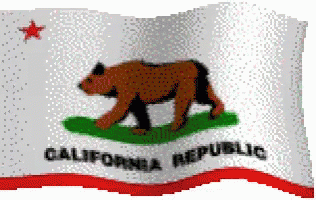 California Republic Flag With Bear and Star