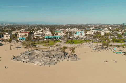 California Venice Beach Skatepark GIF