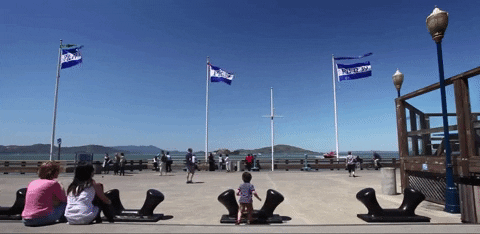 California Waterfront Bay GIF