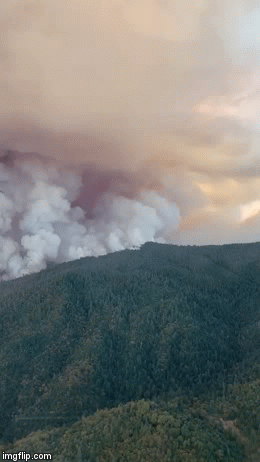 California Wildfire View GIF