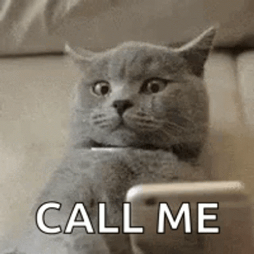 Call Me Crying Cat Scared Smartphone Meme GIF