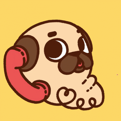 Calling Love Cute Dog Puglie Pug GIF